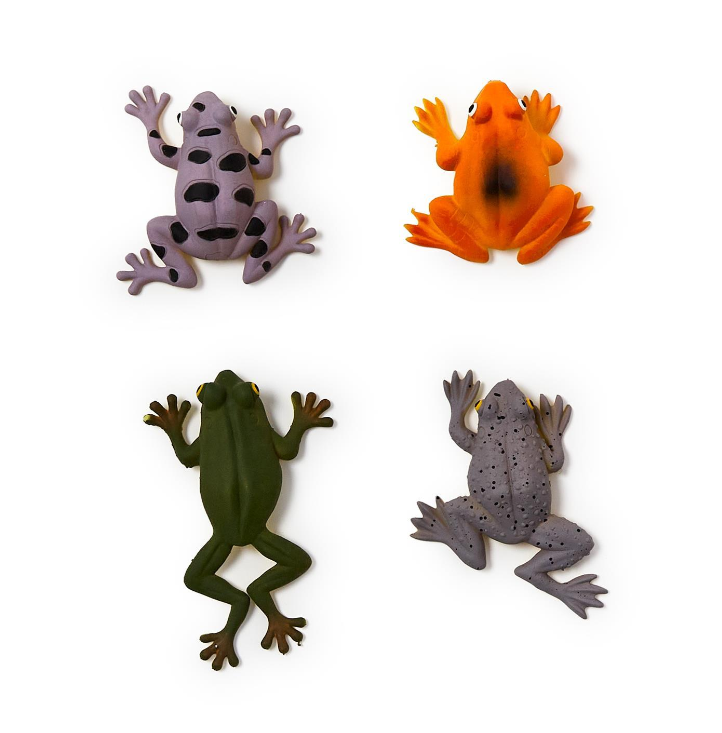 Color Changing Squishy Frog – So Chic Boutique
